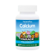Кальций для детей со вкусом ванили, Calcium Children's Chewable Supplement, NaturesPlus, 90 таблеток в форме животных