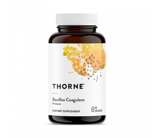Пробиотик, Bacillus Coagulans, Thorne, 60 вегетарианских капсул