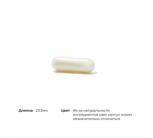 Комплекс пищеварительных ферментов, Advanced Digestive Enzymes, Thorne, 60 капсул