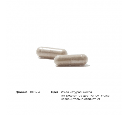 Железо с кофакторами, Ferrasorb, Thorne, 60 капсул