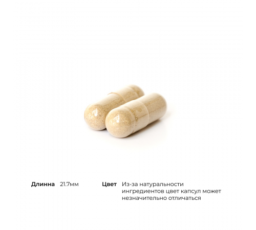 Фитосомы зелёного чая, Green Tea Phytosome, Thorne, 60 капсул
