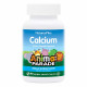 Кальций для детей со вкусом ванили, Calcium Children's Chewable Supplement, NaturesPlus, 90 таблеток в форме животных