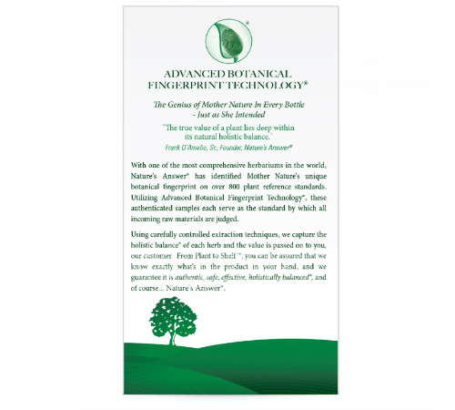 Бакопа, Bacopa Capsules, Nature's Answer, 90 вегетарианских капсул