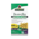 Босвеллия, Boswellia, Nature's Answer, 90 вегетарианских капсул