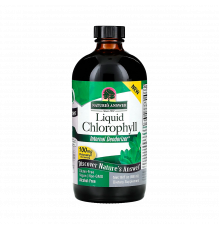 Жидкий хлорофилл, Liquid Chlorophyll Spearmint, Nature's Answer, 480 мл