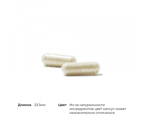 Комплекс пробиотиков с аминокислотами, Perma-Clear, Thorne, 180 капсул