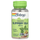 Красный вяз, Solaray Slippery Elm, 100 вегетарианских капсул