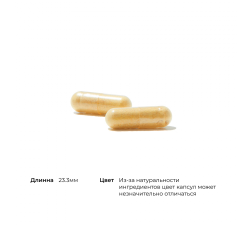 Базовый комплекс Витамина B, Basic B Complex, Thorne, 60 капсул