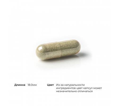Бисглицинат железа, Iron Bisglycinate, Thorne, 60 капсул