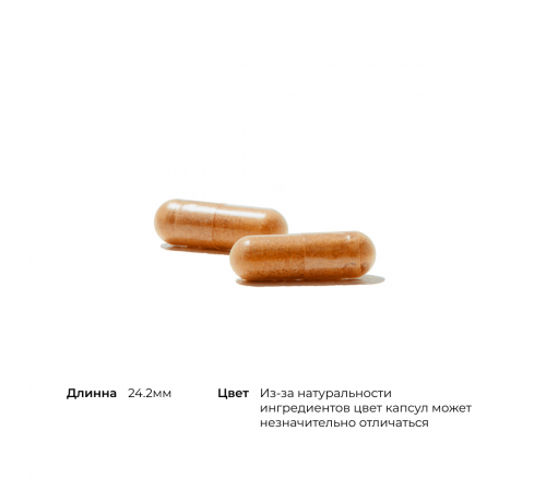 Красный рис и коэнзим Q10, Red Yeast Rice + CoQ10, Thorne, 120 капсул