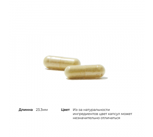 Формула для мышц и суставов, Joint Support Nutrients, Thorne, 240 капсул