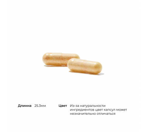 Комплекс с куркумином, Curcumin Phytosome Meriva, Thorne, 120 капсул